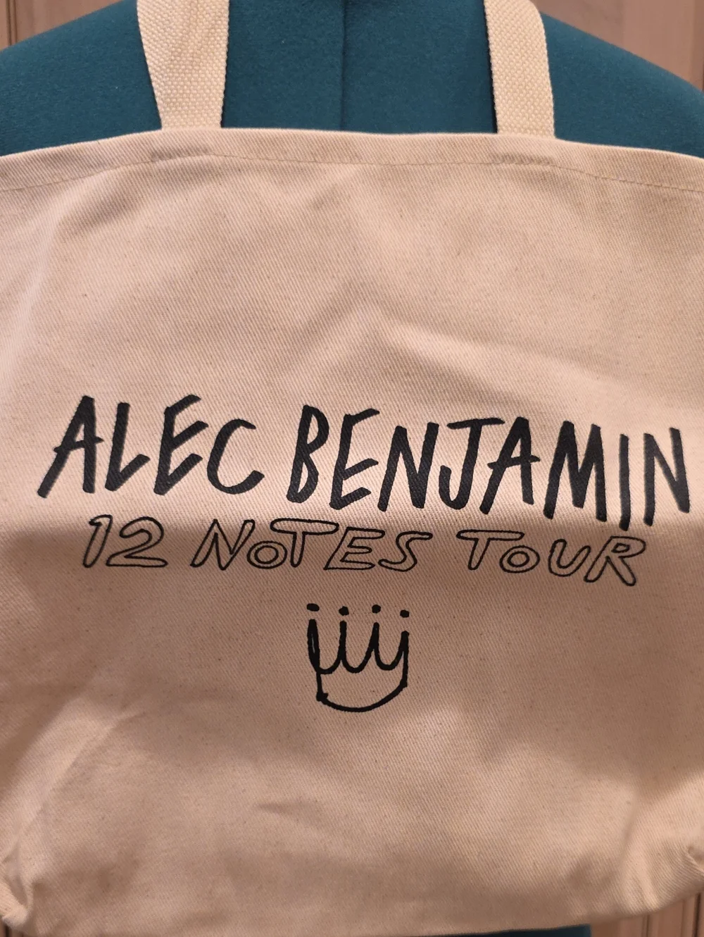 Alec Benjamin 12 Notes Tour Vip Package Tote Bag